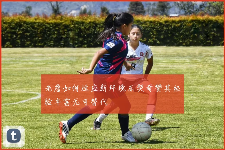 老詹如何适应新环境东契奇赞其经验丰富无可替代